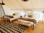 Beds inside tent at site Timberline Glamping at Lake Guntersville - thumbnail