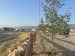 Fence between sites and the road at SKYLINE TRAILS RV PARK - thumbnail