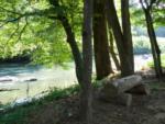 Trees along the water at SMITH RIVER RV PARK - thumbnail