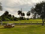 A picnic table in a grassy area at SANDOLLAR RV PARK - thumbnail