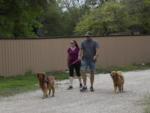 A couple on a walk with their two dogs at OUR FRIENDS CAMPGROUND - thumbnail