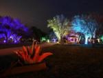 Foliage and trees illuminated by colored lights at OUR FRIENDS CAMPGROUND - thumbnail