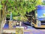 Painting of an RV under a tree at Palm Breeze Luxury RV Resort - thumbnail