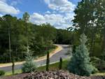 Tree lined road at TALKING ROCK MOTORCOACH RESORT - thumbnail