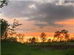 Sunrise through the trees at Talking Rock Motorcoach Resort - thumbnail