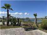 Gravel sites near the pond at Galveston Island RV Park - thumbnail