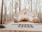 Glamping Safari tent at Timberline Glamping at Williamsburg - thumbnail
