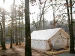 Side view of tent with lake in the back at Timberline Glamping at Williamsburg - thumbnail