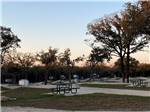 Paved RV sites with tables at dusk at The Woods RV and Cabin Resort - thumbnail