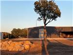 A building, tree and rocks at sunrise at The Woods RV and Cabin Resort - thumbnail