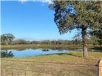 The pond at The Woods RV and Cabin Resort - thumbnail