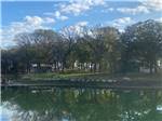 Rental cabins by the pond at The Woods RV and Cabin Resort - thumbnail