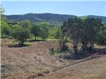 Landscape with trees and hills at Ptimaster RV Park - thumbnail