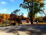 Rental cabins near fall trees at Black House Mountain - thumbnail