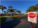 Inside roads - thumbnail