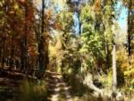 Dirt drive way at site Cedar Ridge South Fork River - thumbnail