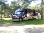 Parked RV at site High Pines RV Park - thumbnail