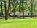 View of RV site at Songbird RV Park - thumbnail