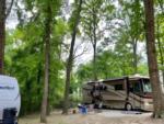 Parked RV at site Songbird RV Park - thumbnail