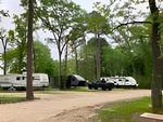 RVs parked in sites at Songbird RV Park 2 - thumbnail