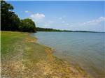 On the banks of the river at Waterfront Hideaway Ranch - thumbnail