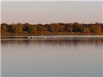 Birds on the water at Waterfront Hideaway Ranch - thumbnail