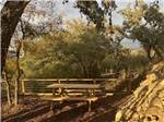 A picnic table under shade trees - thumbnail