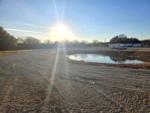 The sun shines - thumbnail