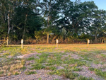 Grassy sites at Wiregrass RV Park - thumbnail