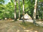 Tent at site Martin Stream Campground - thumbnail