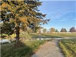 View of the road - thumbnail