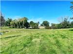 A view of a grassy area - thumbnail
