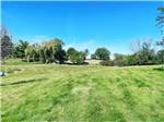 A view of a grassy area - thumbnail