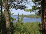 Nature area at the park - thumbnail