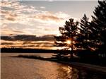 Orange sunset by trees - thumbnail