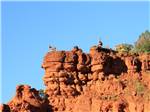 Goats atop a red rock ridge - thumbnail