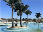 Trees by the pool - thumbnail