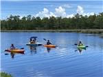 A group kayaking - thumbnail