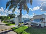 Paved sites with palm trees - thumbnail