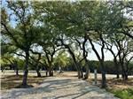 An RV site under shade trees - thumbnail