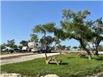 Picnic tables on a grassy patch near an RV site - thumbnail