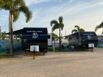RVs parked in sites lined with palm trees - thumbnail