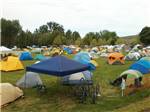 Tents set-up on grounds - thumbnail
