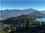 Trees by the mountain - thumbnail