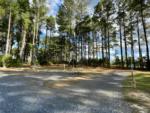 Open RV spaces at site In The Pines RV & Cabin Village - thumbnail