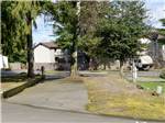 Paved RV site under tall trees - thumbnail