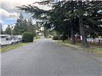Entrance road - thumbnail