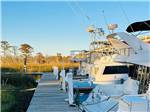 View of the dock - thumbnail