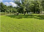 Tree lined grass field - thumbnail