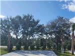 A shaded RV site - thumbnail